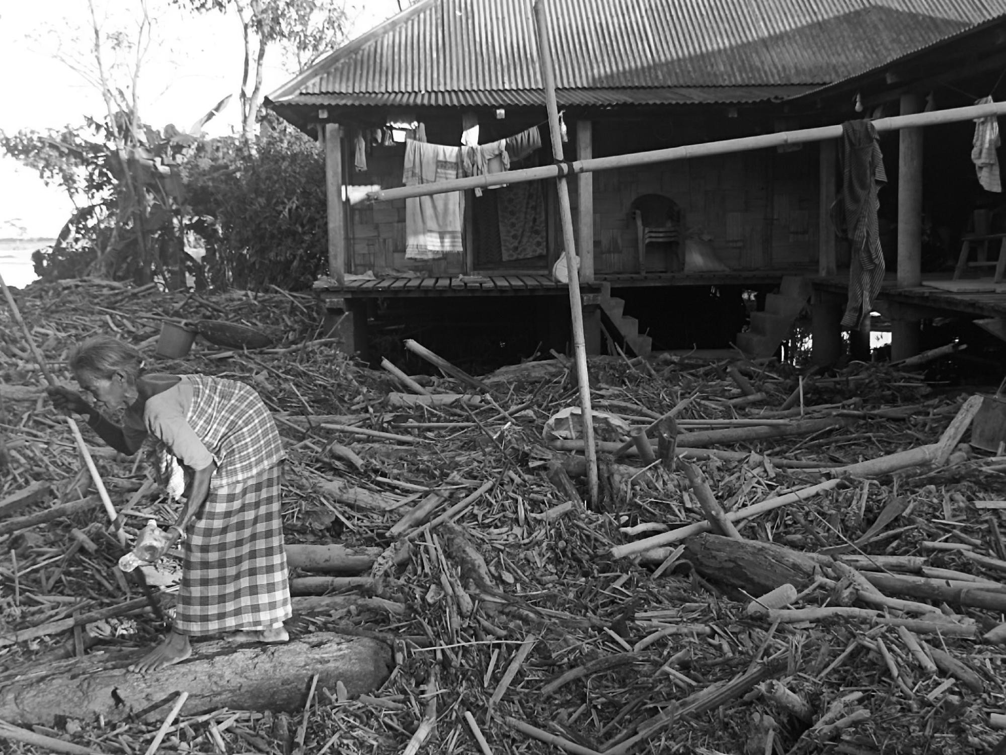 SEEDS